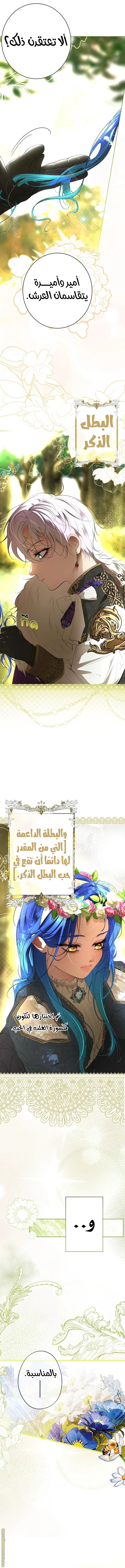 الصفحة 13