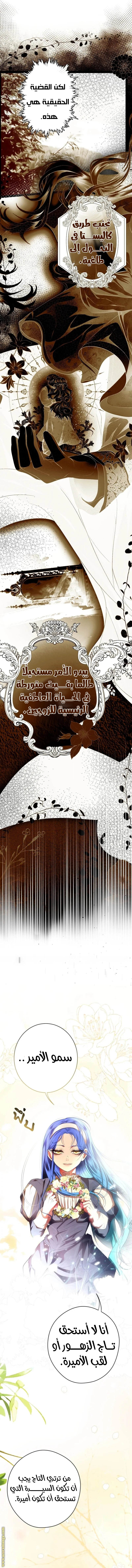 الصفحة 16