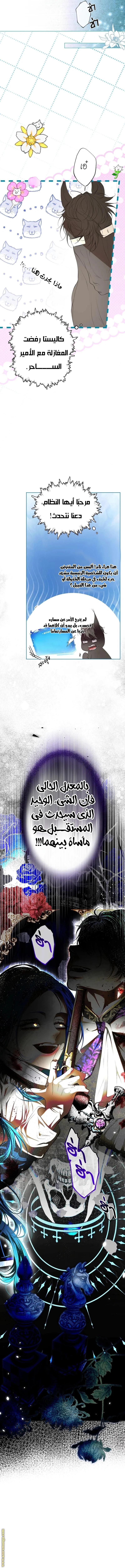 الصفحة 19
