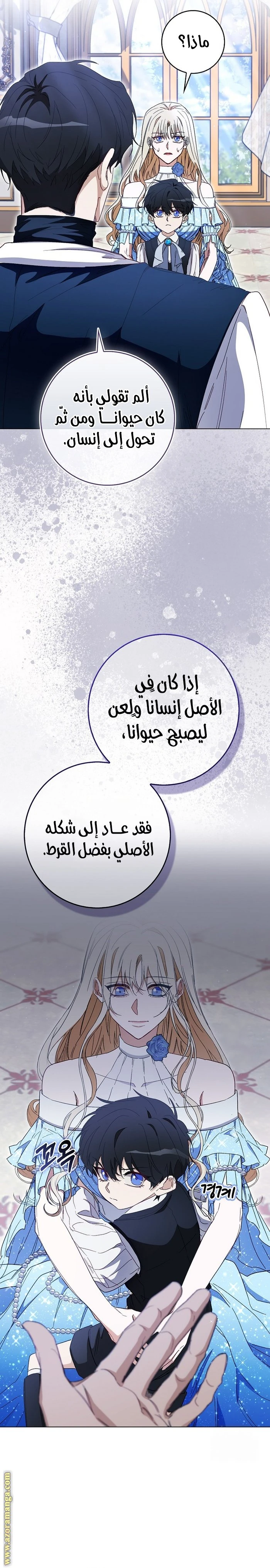 الصفحة 11