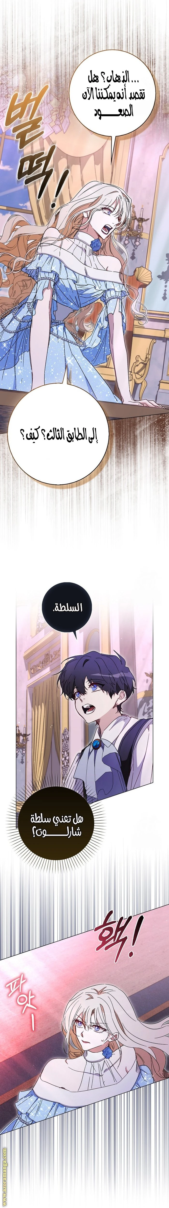 الصفحة 25