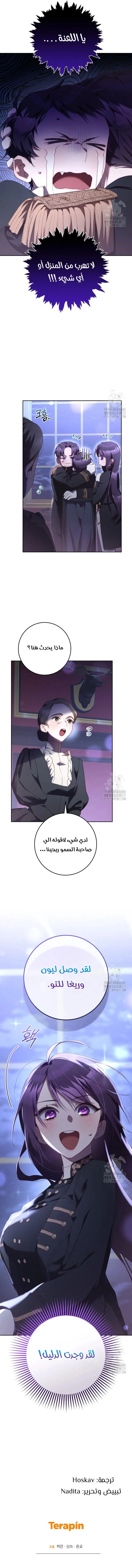 الصفحة 11