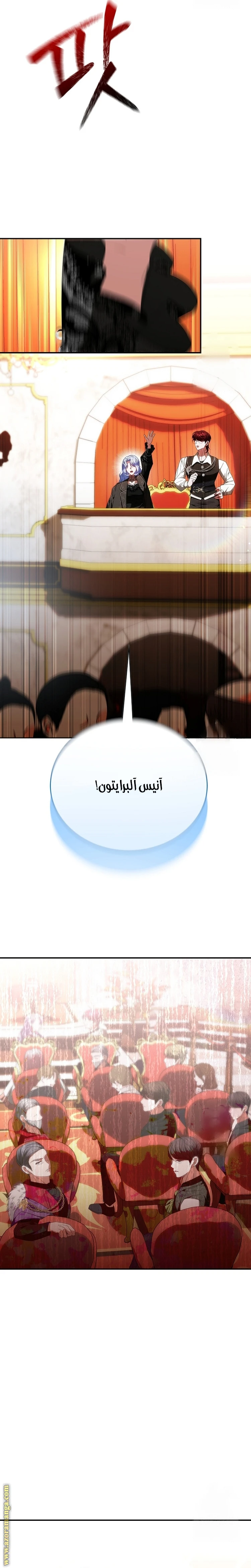 الصفحة 17