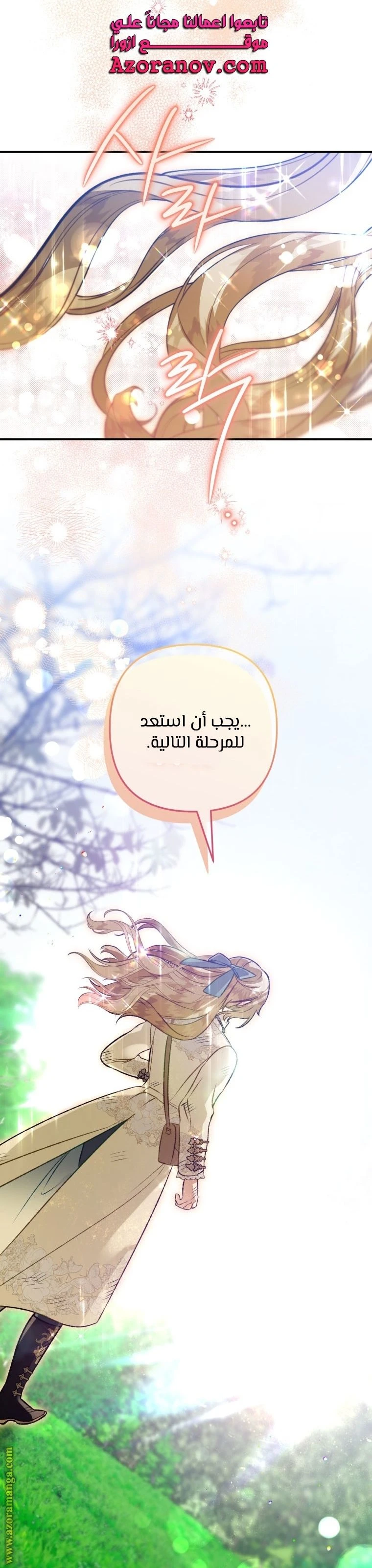 الصفحة 17