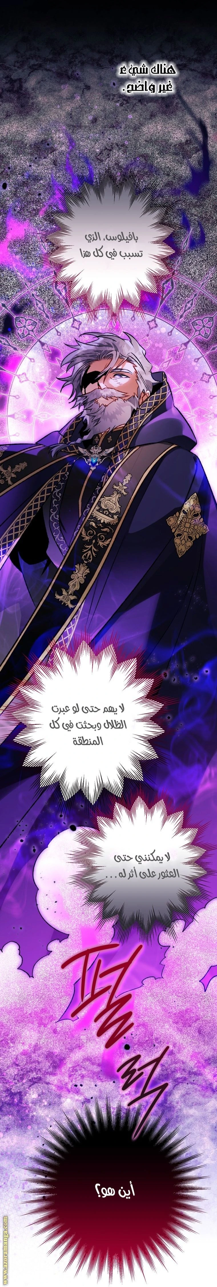 الصفحة 25