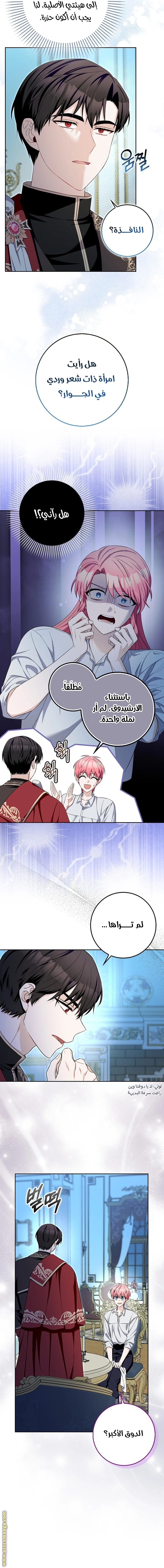 الصفحة 3