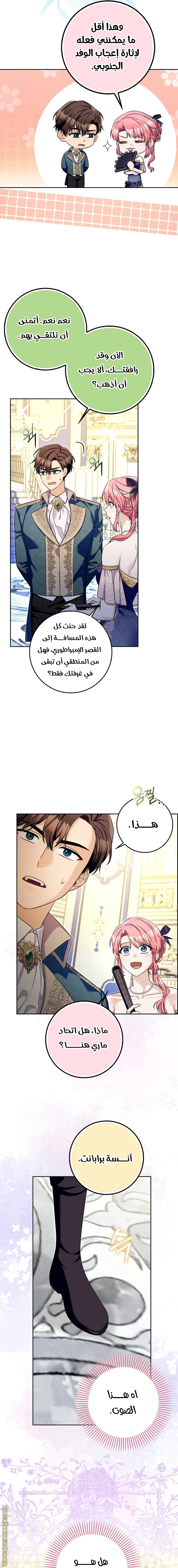 الصفحة 13