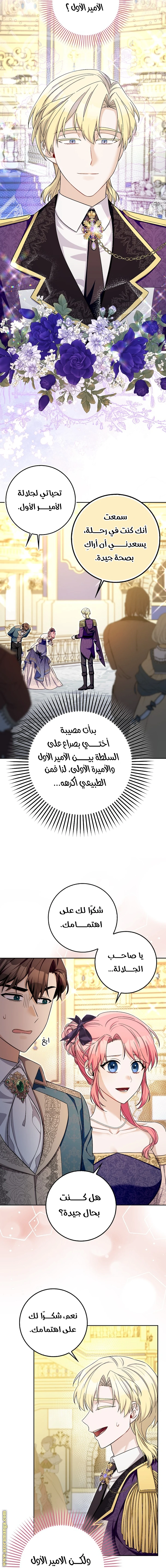 الصفحة 14