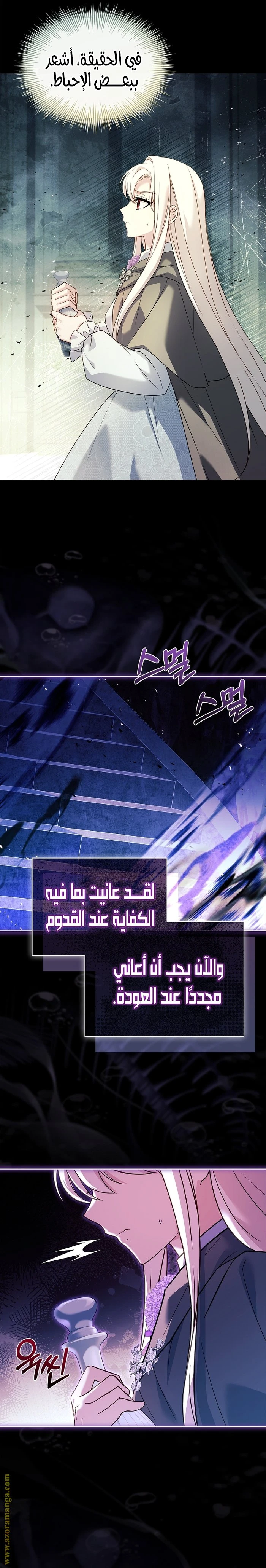 الصفحة 13