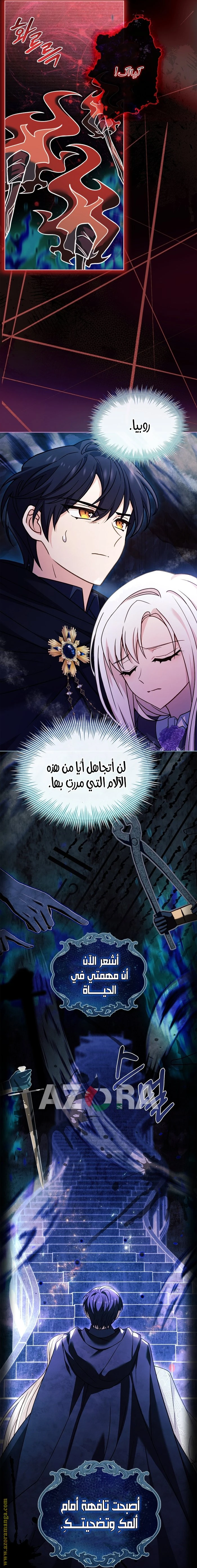 الصفحة 25