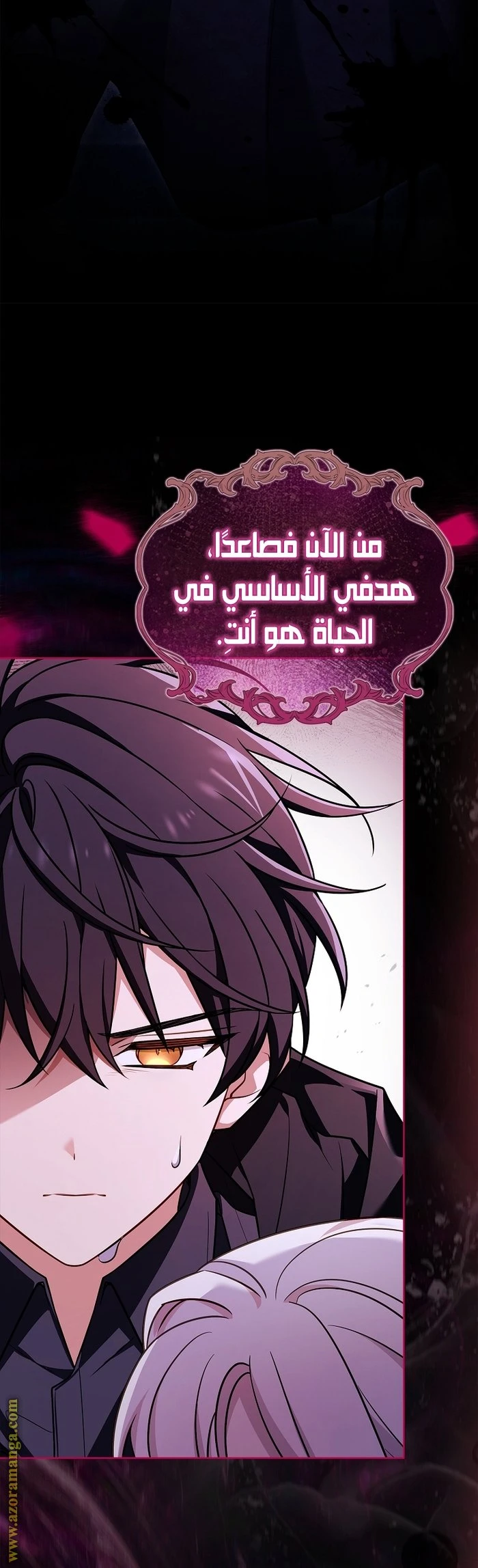 الصفحة 26
