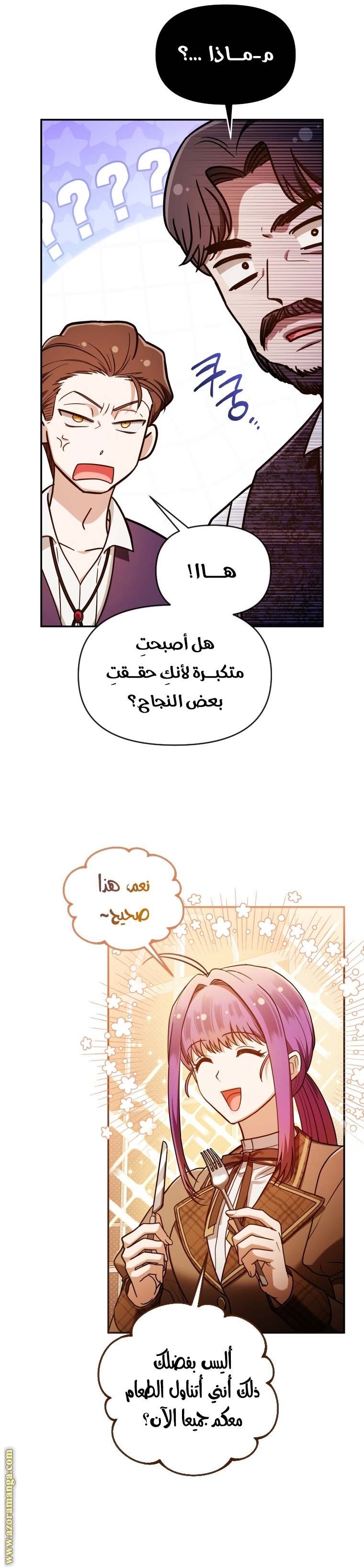 الصفحة 17