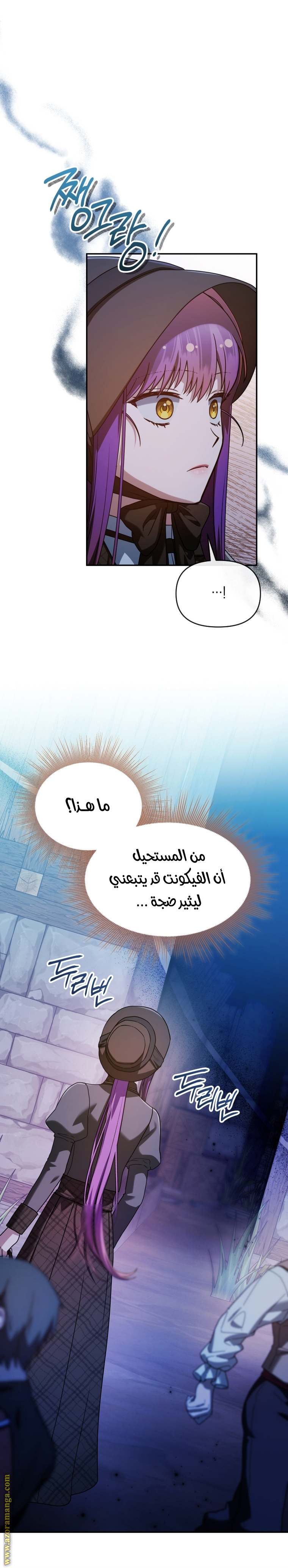 الصفحة 27