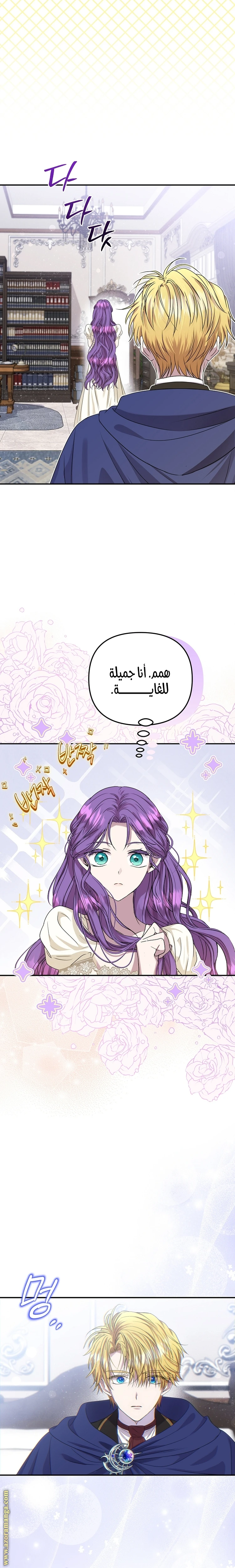 الصفحة 17
