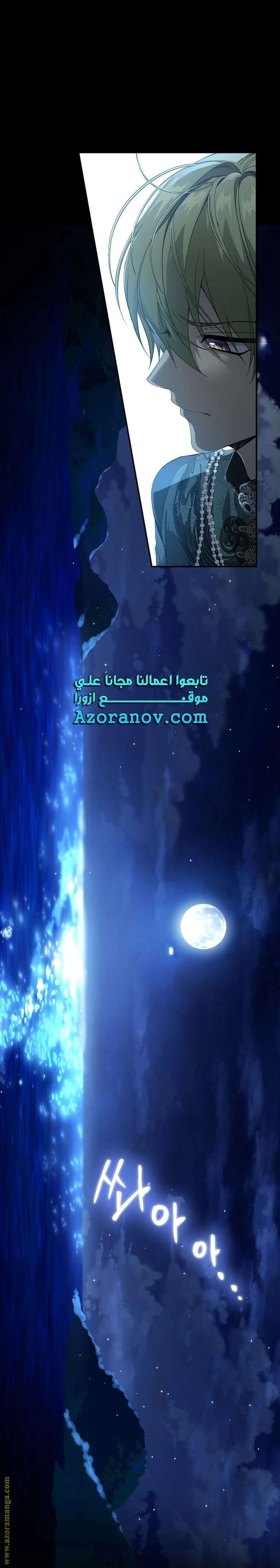 الصفحة 27