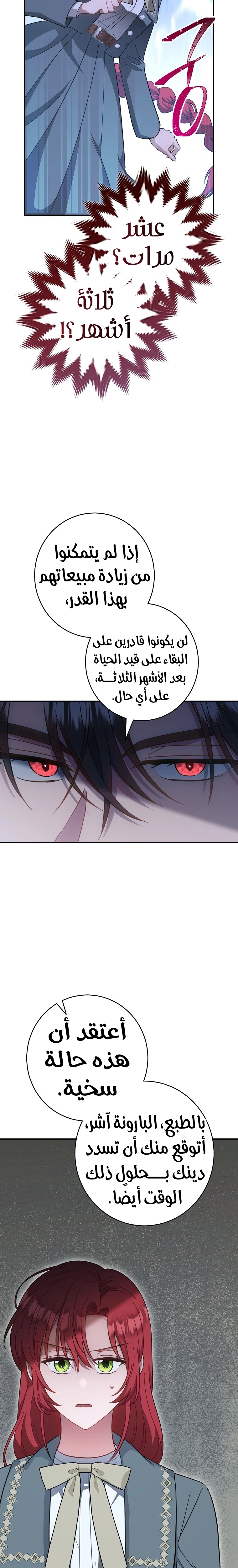 الصفحة 27