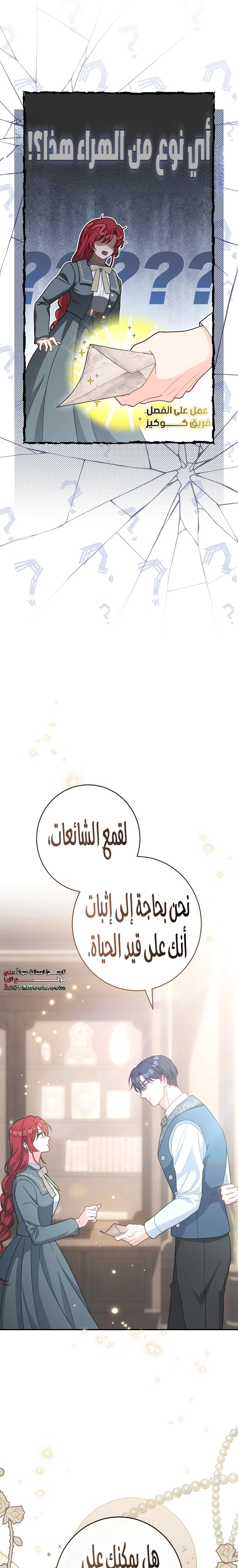 الصفحة 29