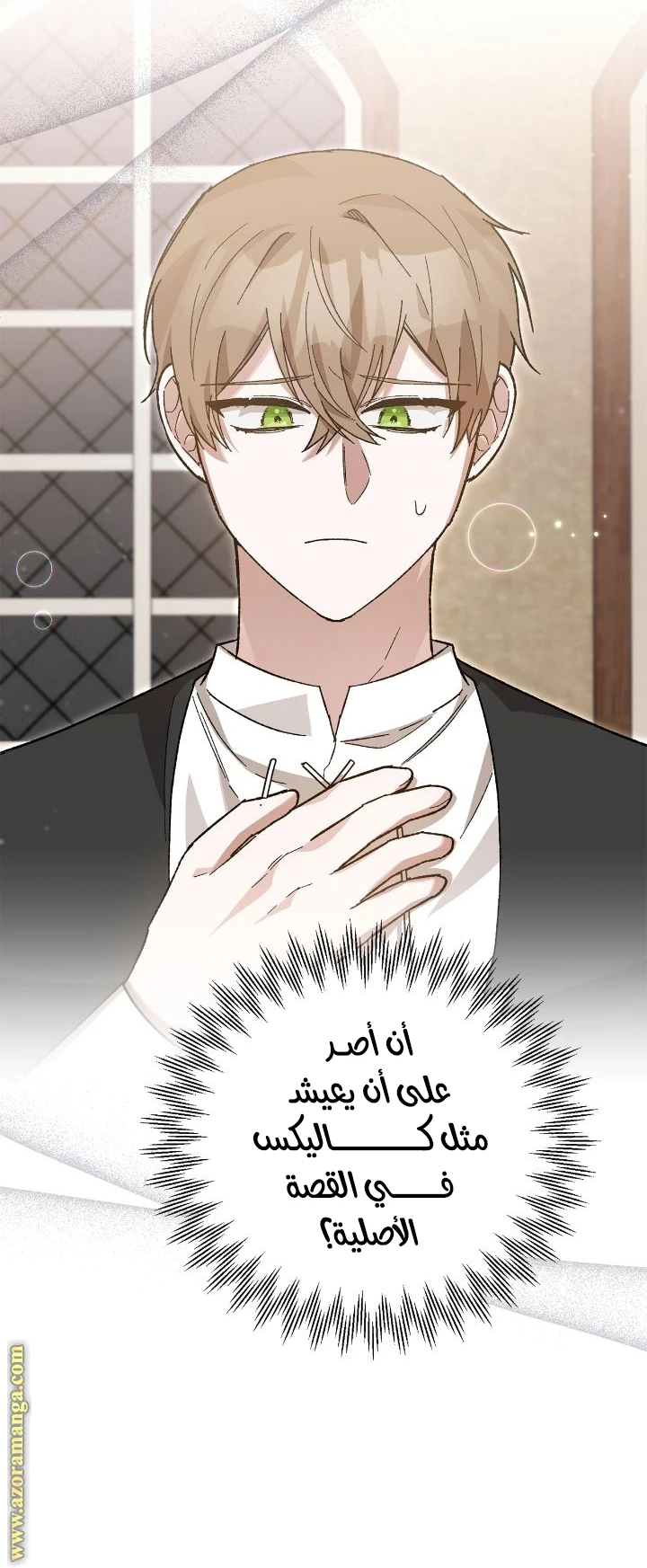 الصفحة 25