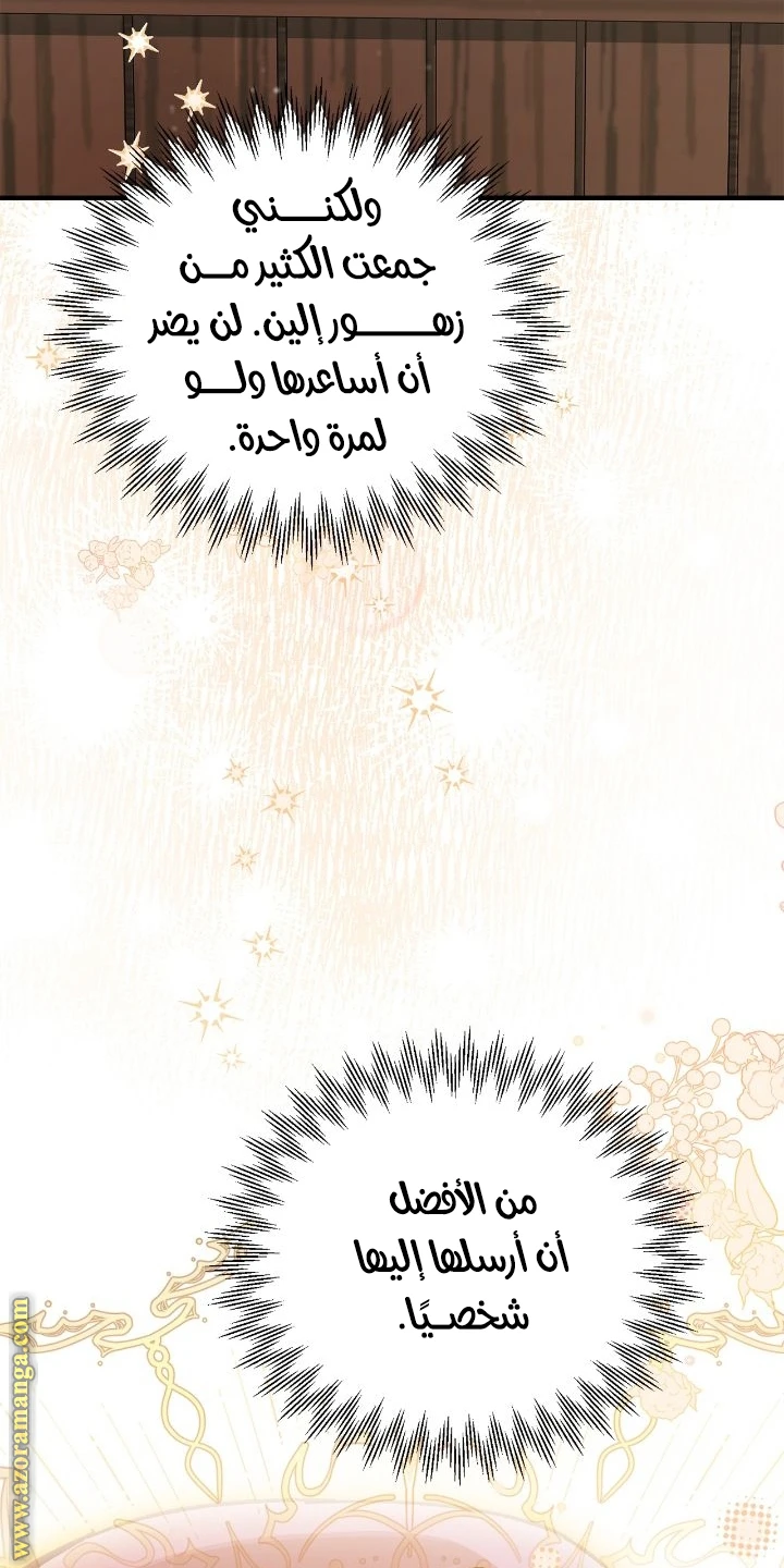 الصفحة 43