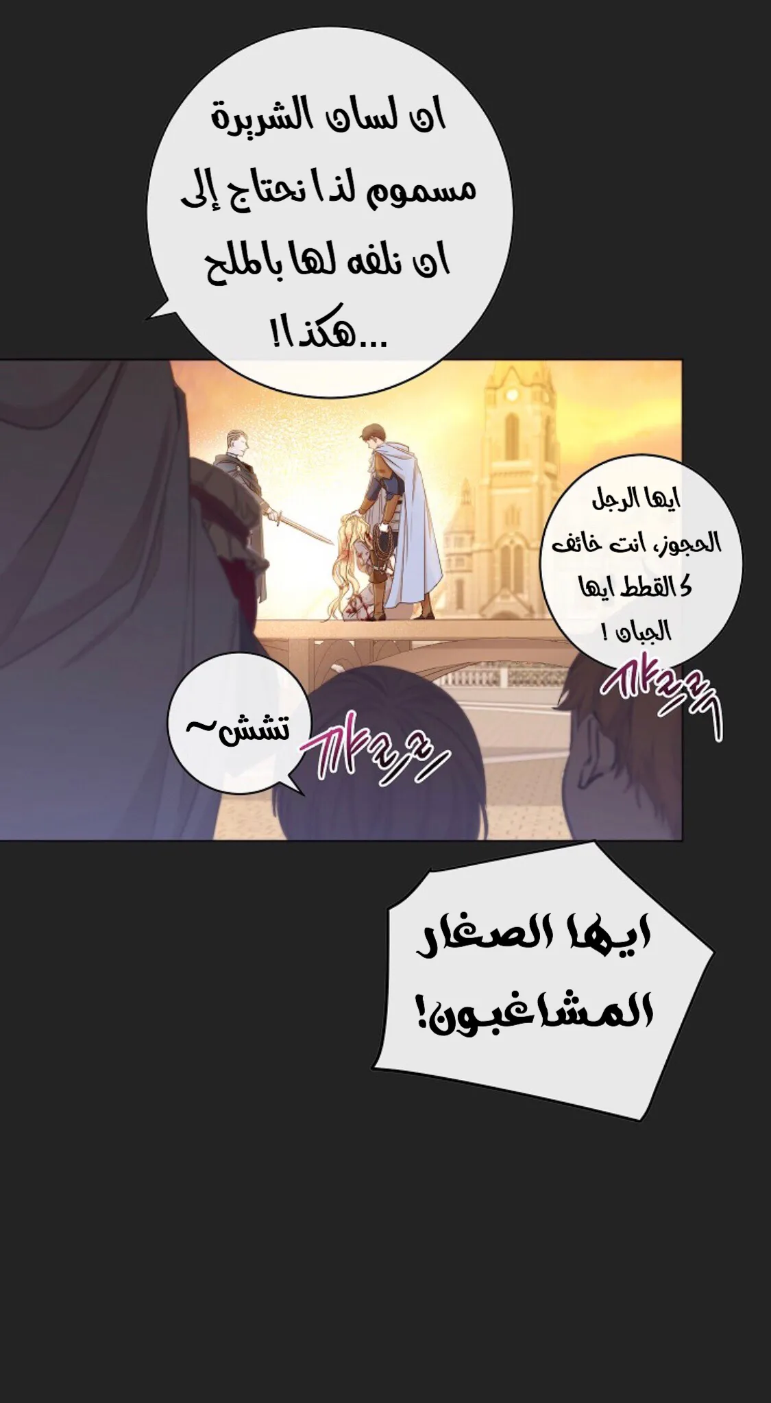 الصفحة 26