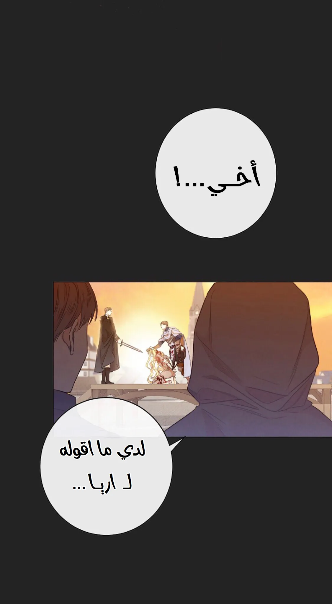 الصفحة 30