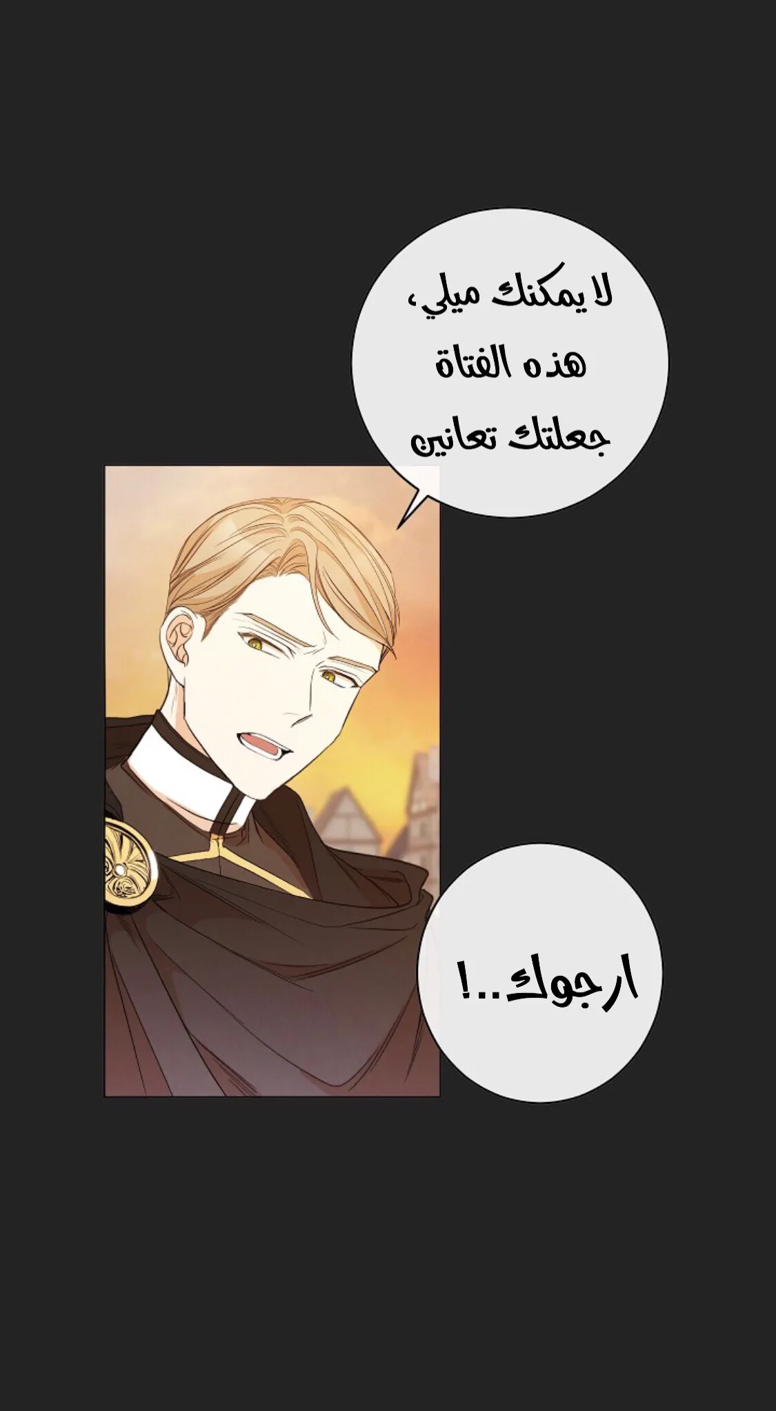 الصفحة 31