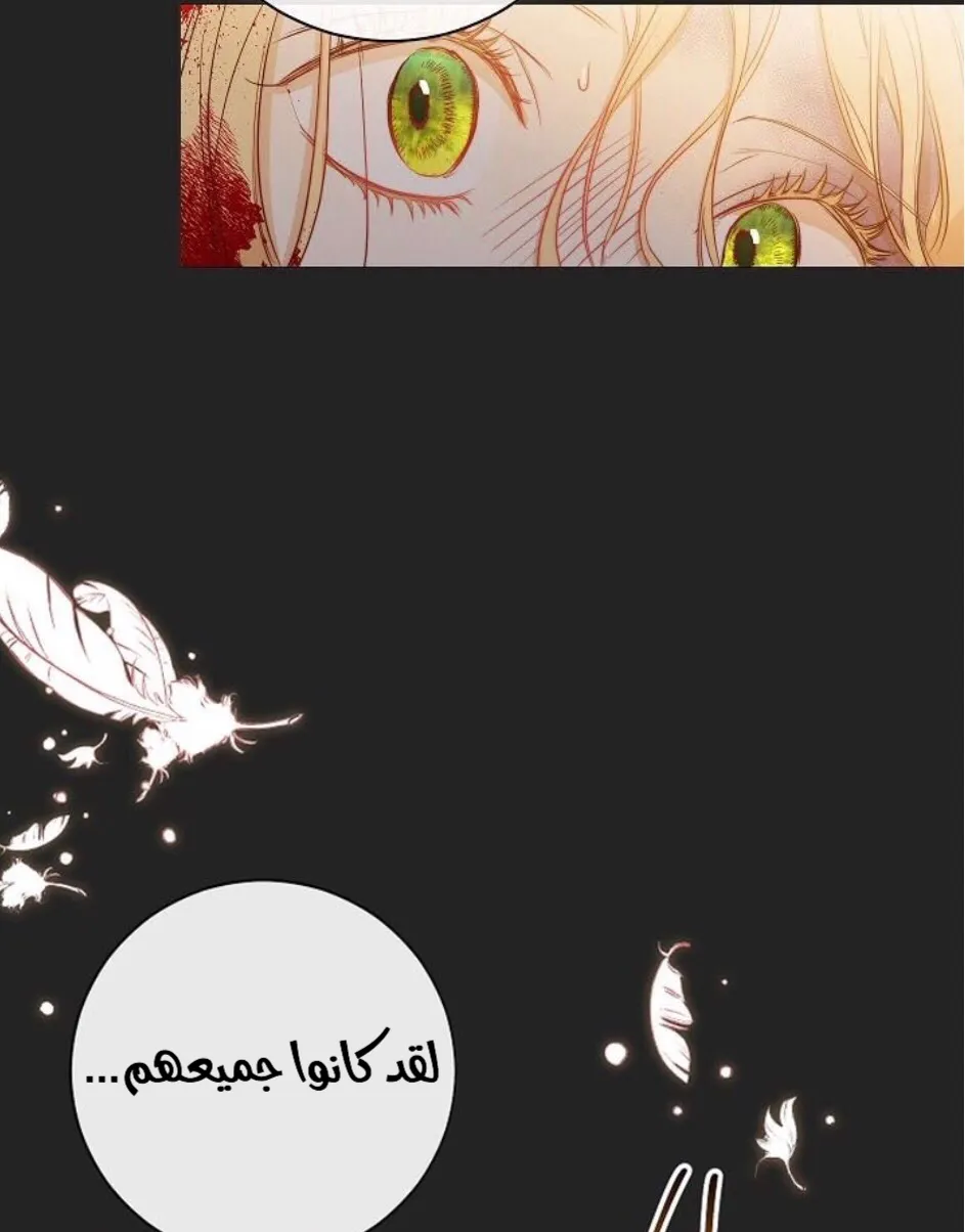 الصفحة 45