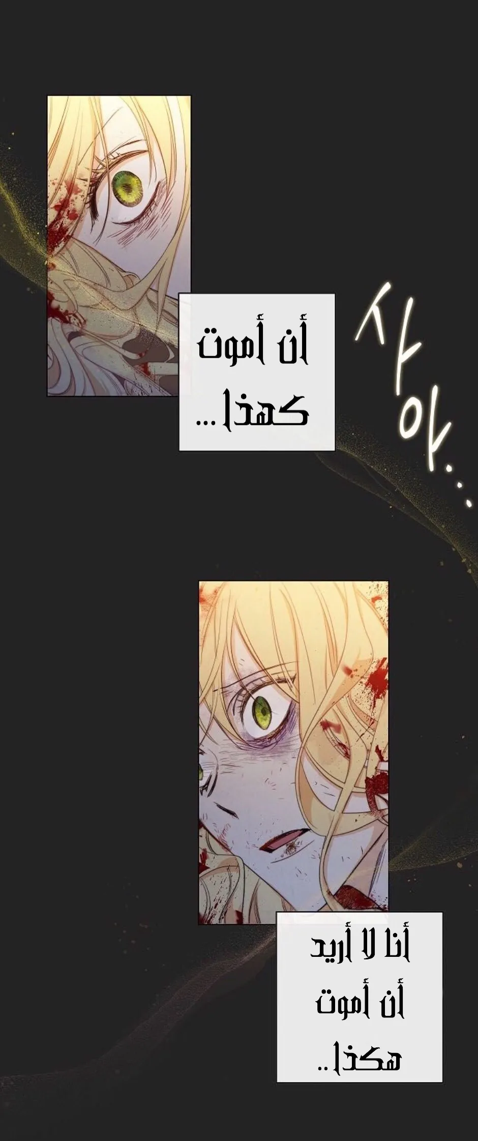 الصفحة 63