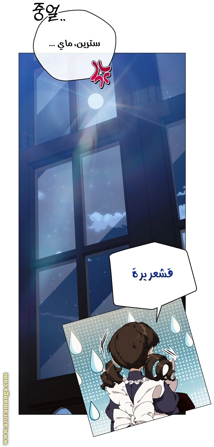 الصفحة 27