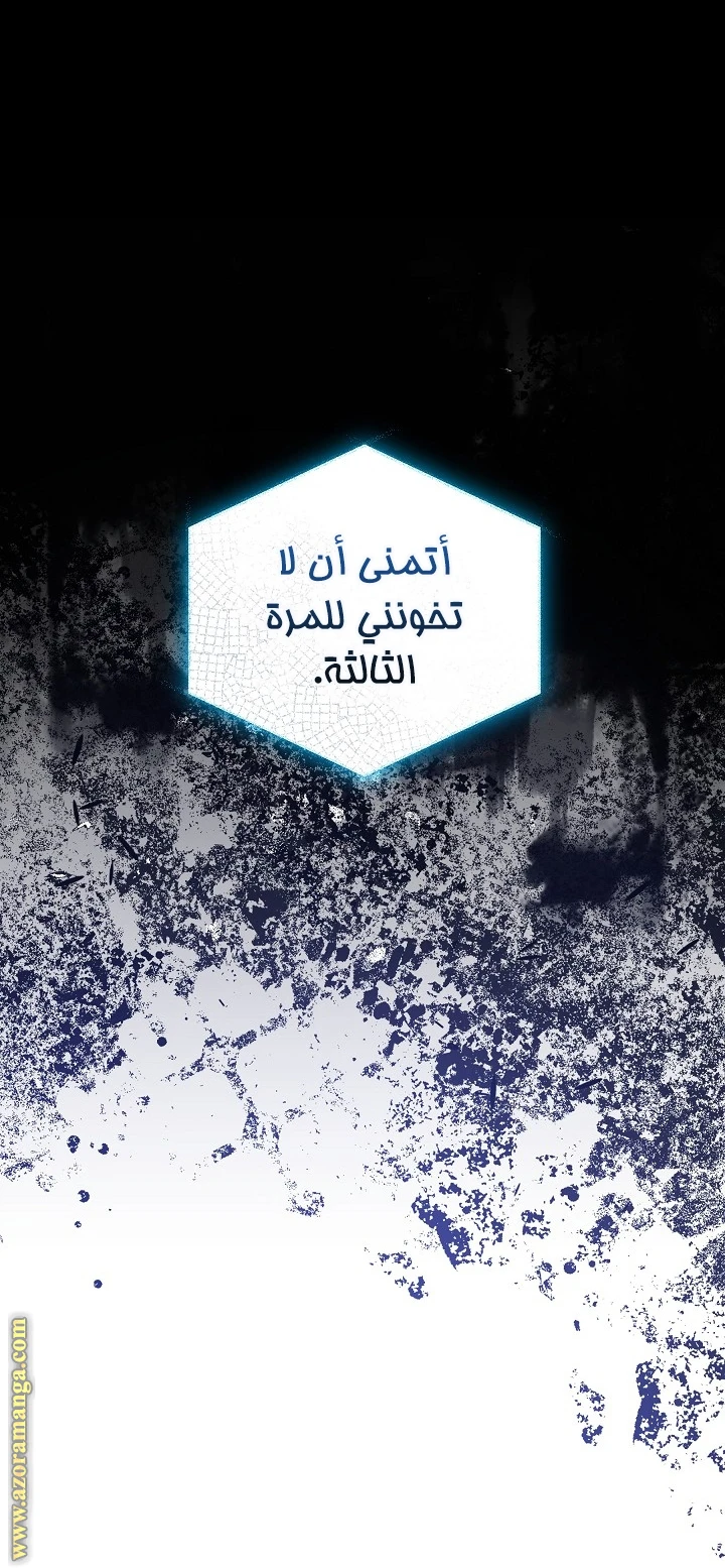 الصفحة 43