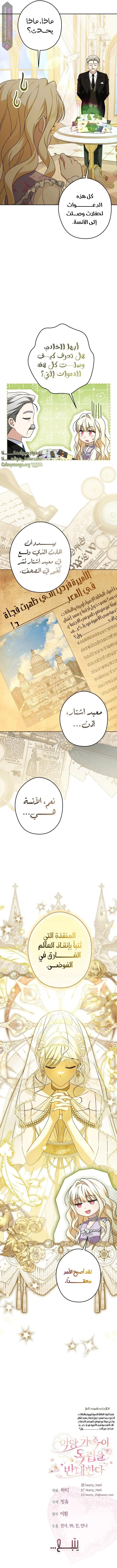 الصفحة 17