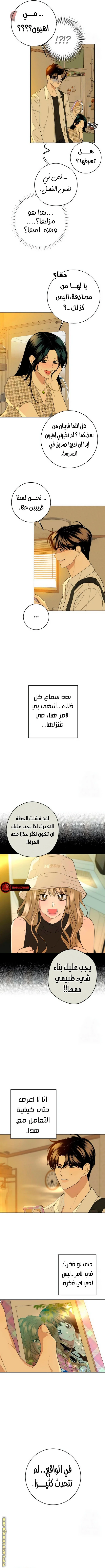 الصفحة 12
