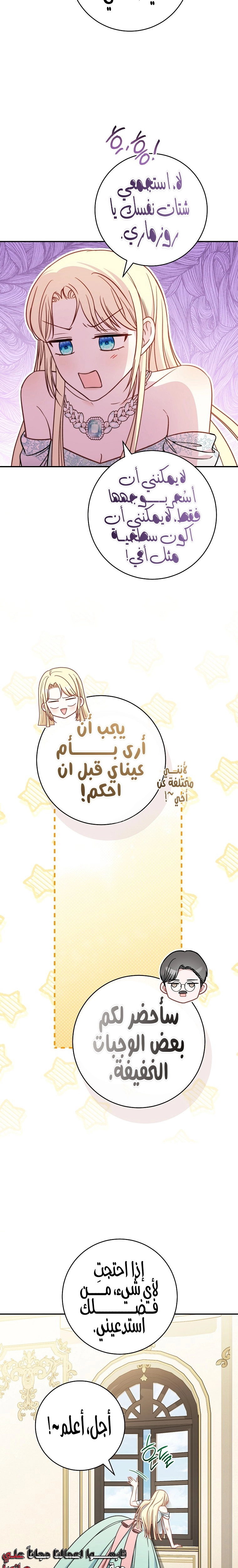 الصفحة 17
