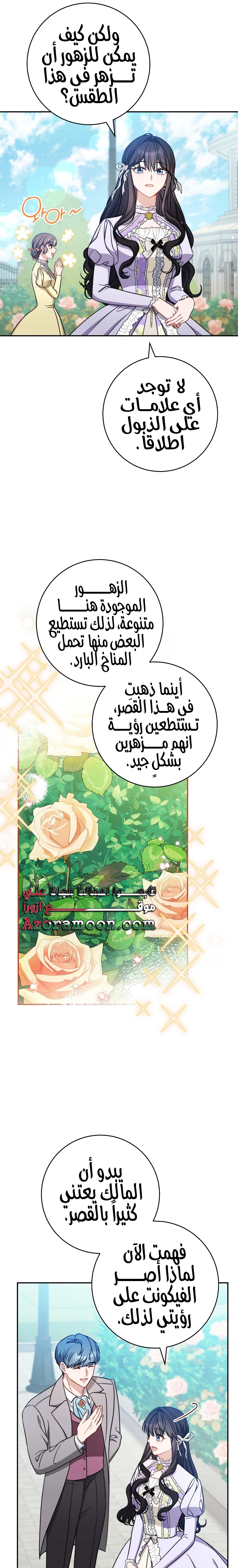 الصفحة 19