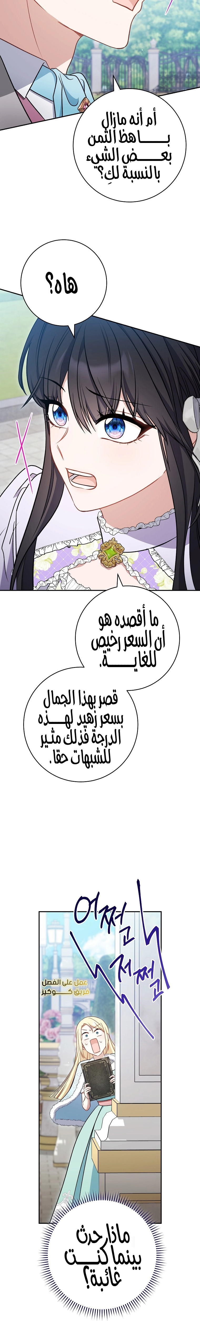 الصفحة 26