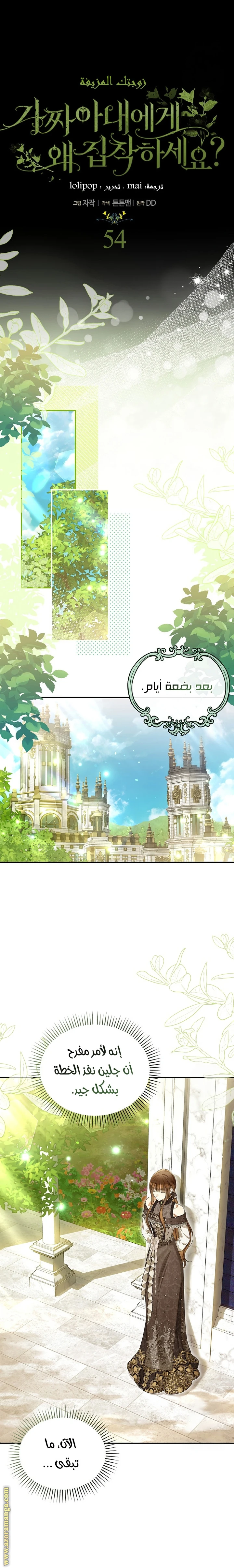 الصفحة 14