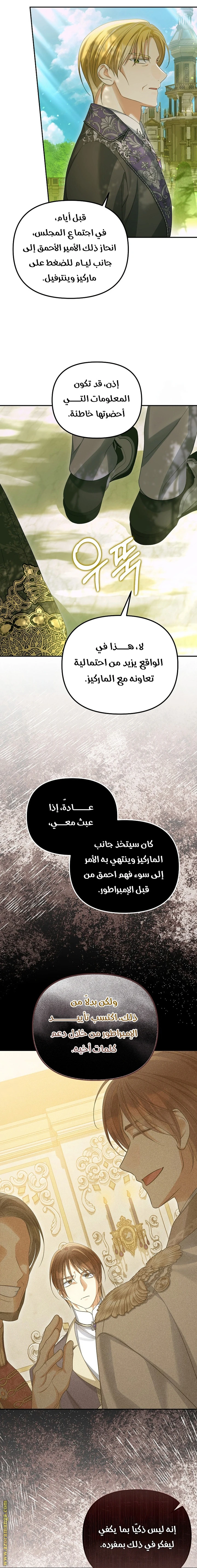 الصفحة 17
