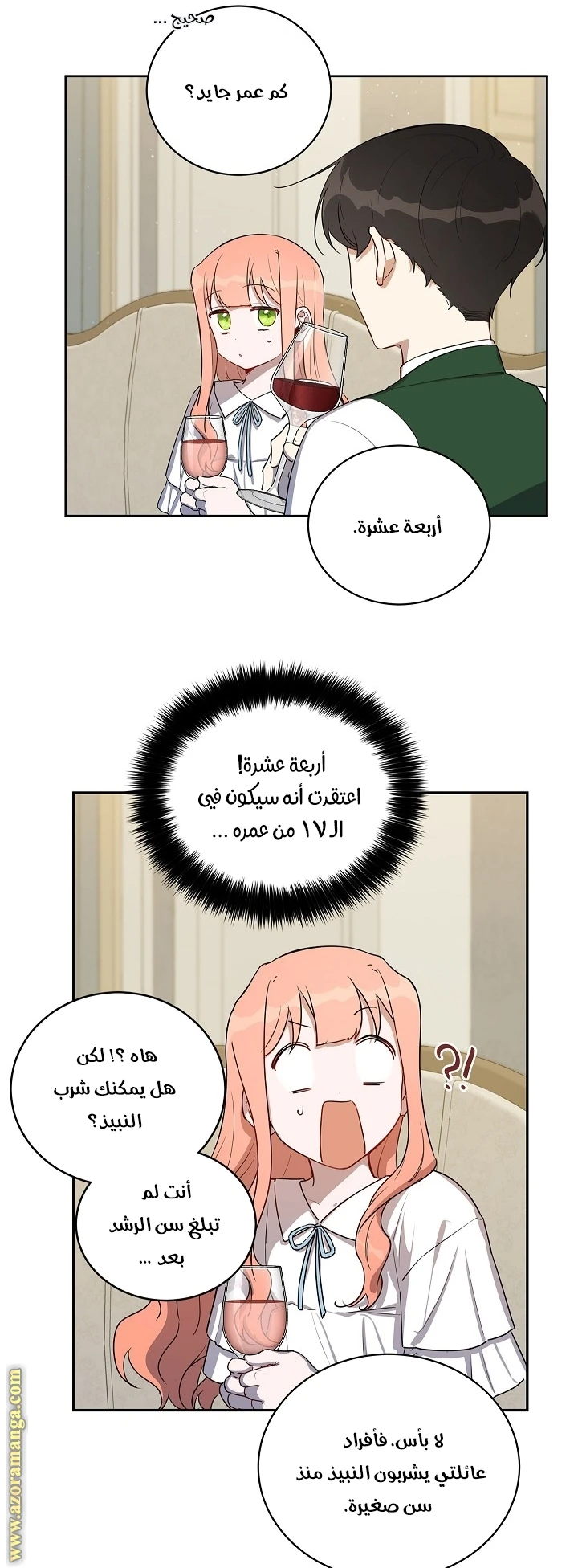 الصفحة 27