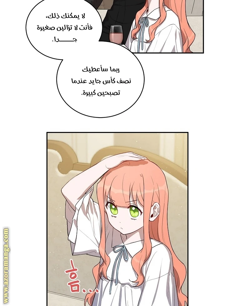 الصفحة 29