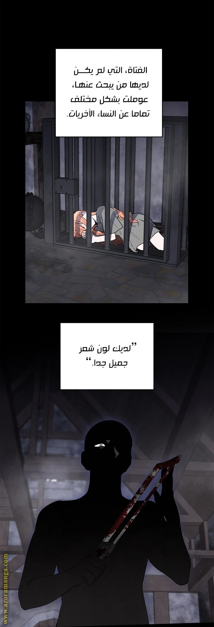 الصفحة 42