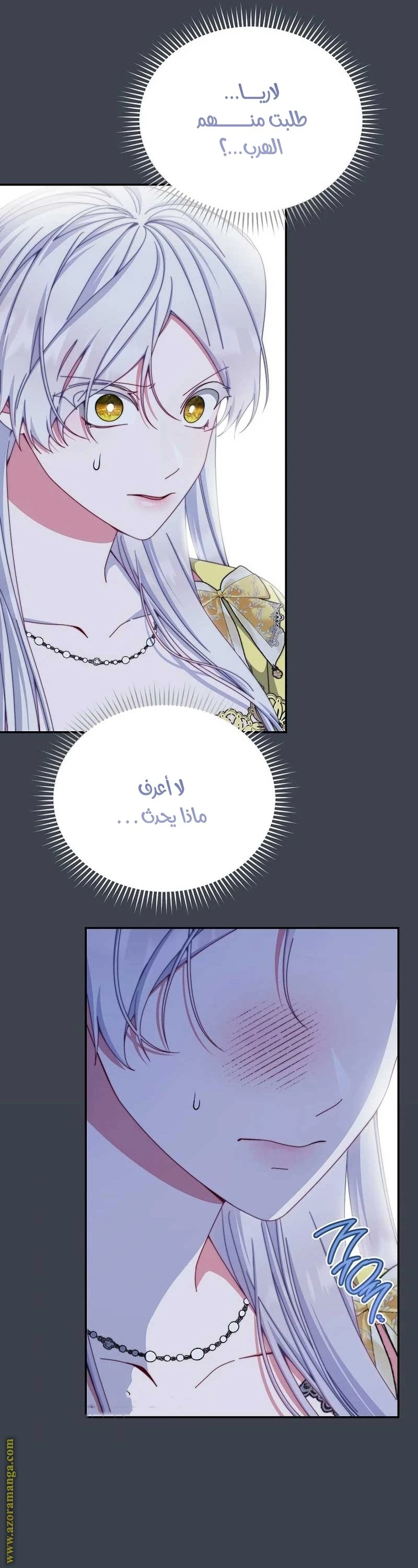 الصفحة 31