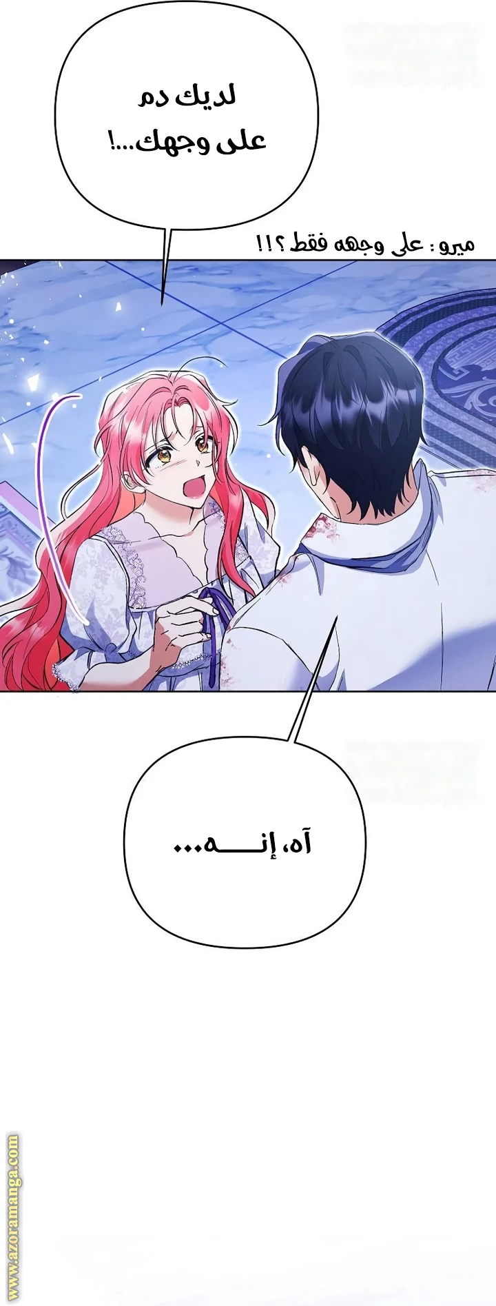 الصفحة 30