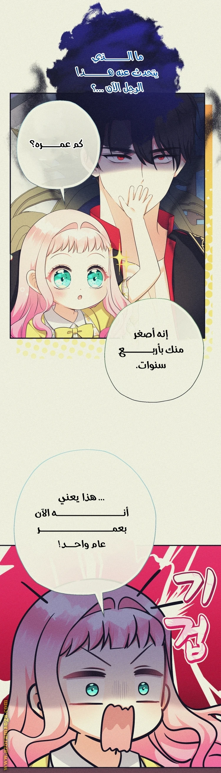 الصفحة 27