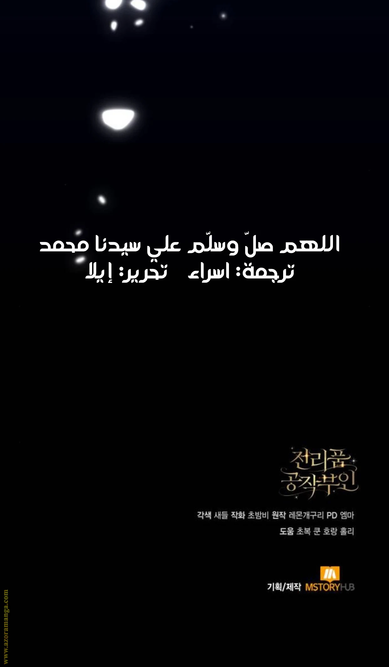 الصفحة 17