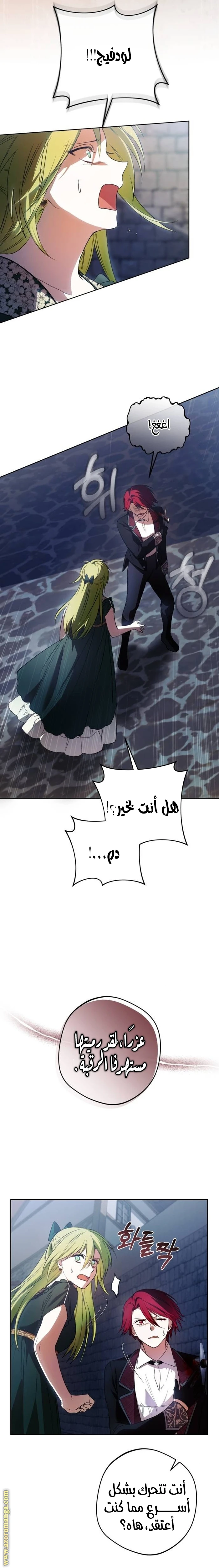 الصفحة 17
