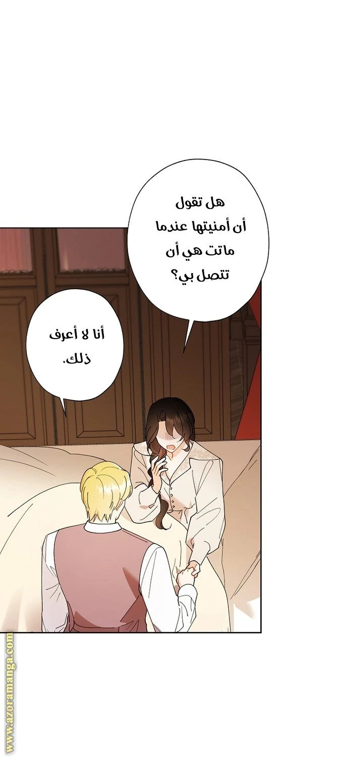 الصفحة 25