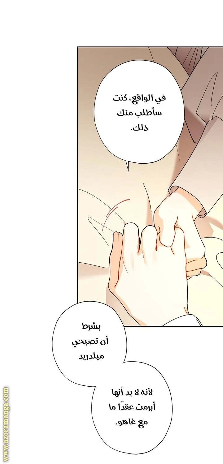 الصفحة 26