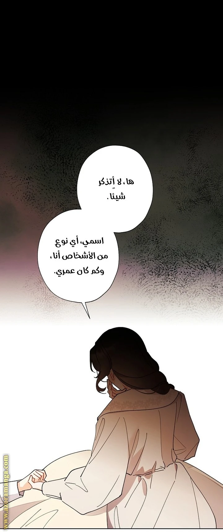 الصفحة 28