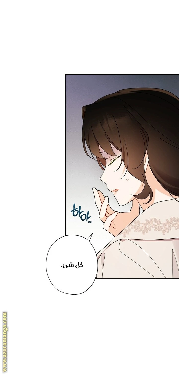 الصفحة 29