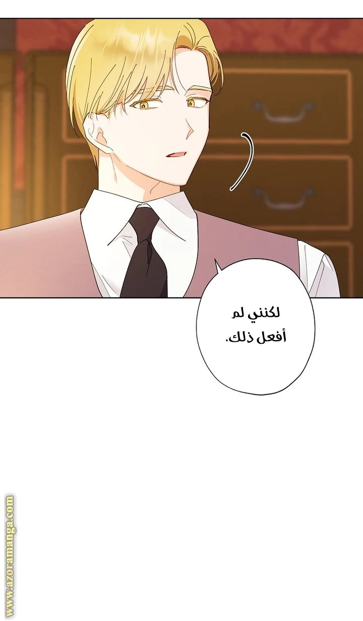 الصفحة 43